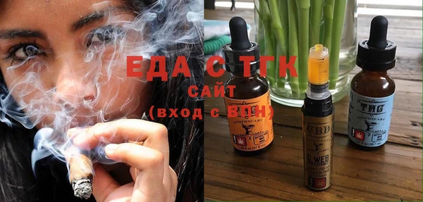 стаф Ельня