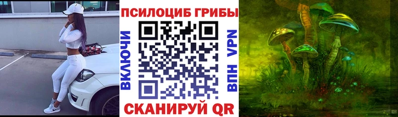 Псилоцибиновые грибы мицелий  МЕГА как зайти  Нижнеудинск 
