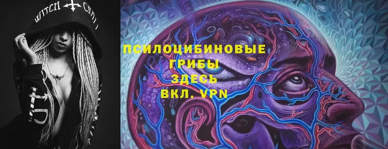 мега рабочий сайт  Нижнеудинск  дарк нет официальный сайт  Псилоцибиновые грибы мицелий 