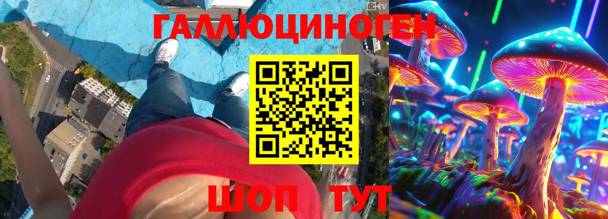 Псилоцибиновые грибы Psilocybine cubensis  Нижнеудинск  Псилоцибиновые грибы мухоморы 