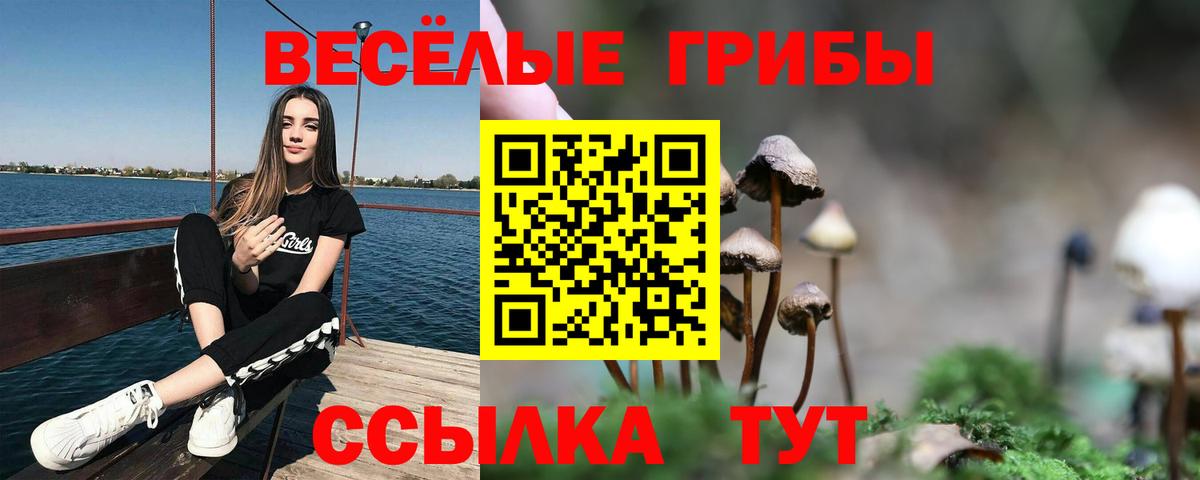 Псилоцибиновые грибы мицелий  Вход с VPN  Нижнеудинск 