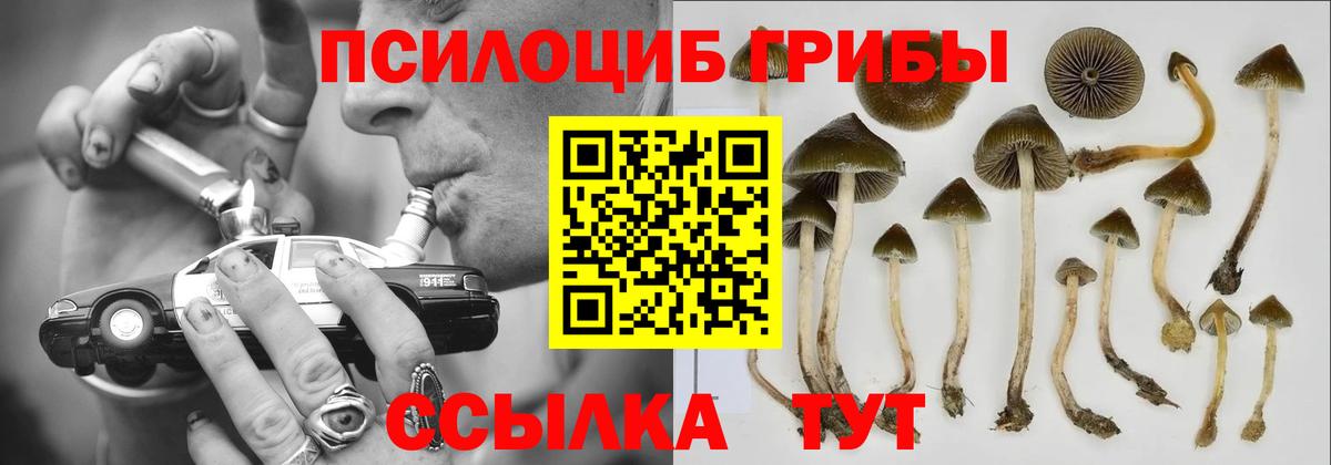 Гашиш  Нижнеудинск  АМФЕТАМИН   COCAIN  NBOMe  Кетамин  Мефедрон кристаллы  Вход с VPN  Марихуана 